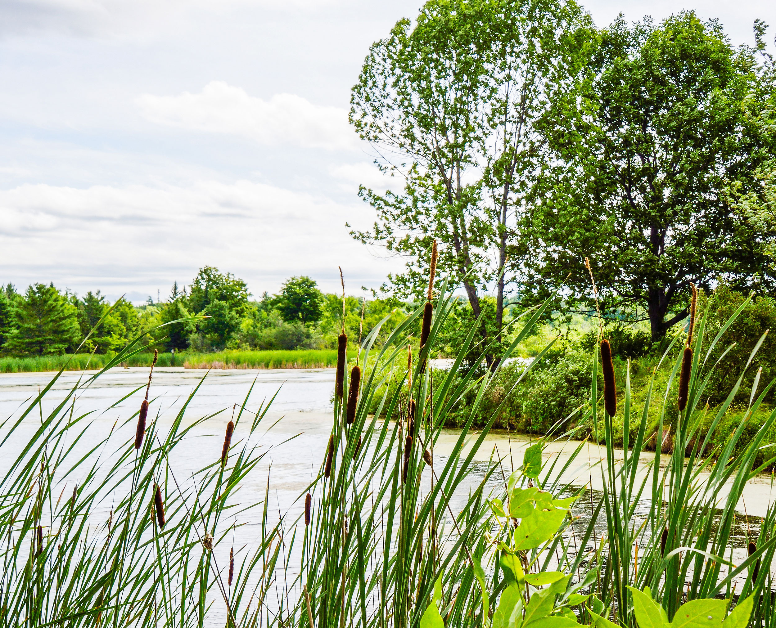 Serenity Creek Lake Noblesville, IN